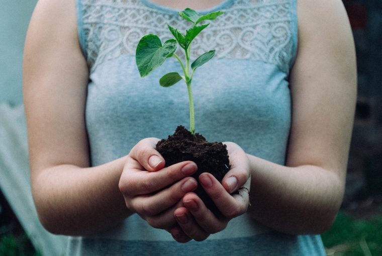 Environmental sustainability
